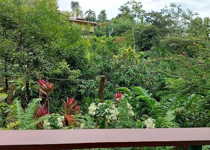 Cabanas Tico Gringo