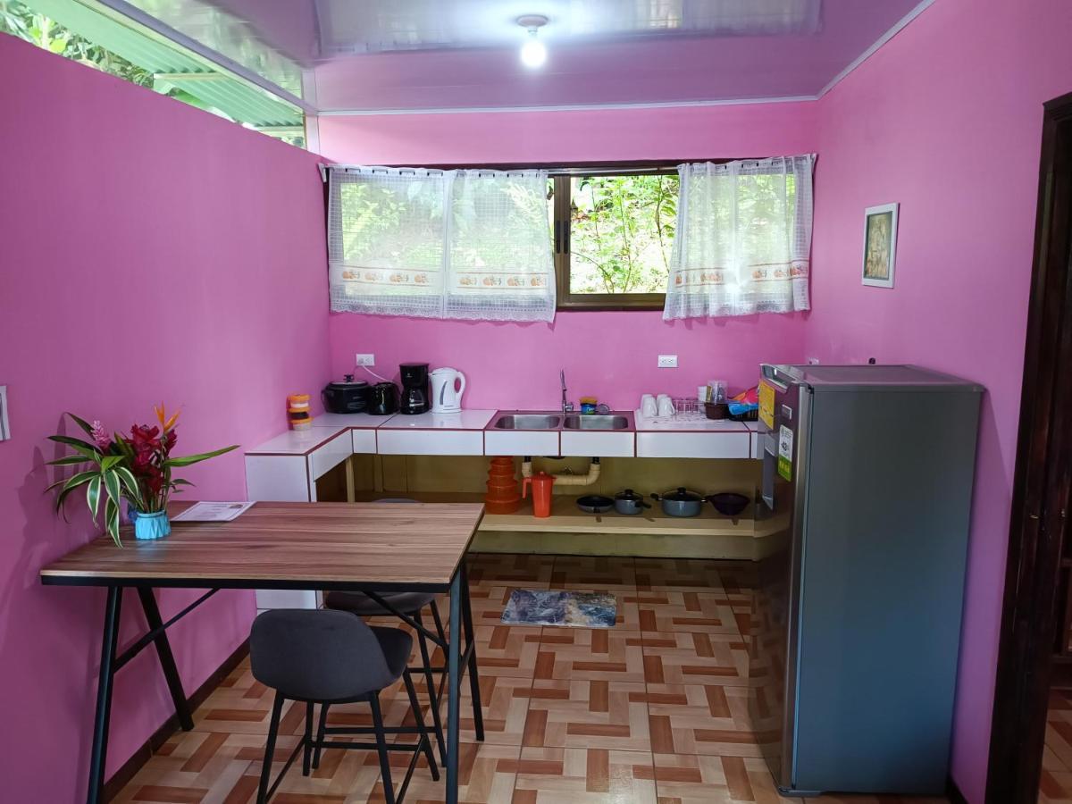 Tico Gringo Apartment