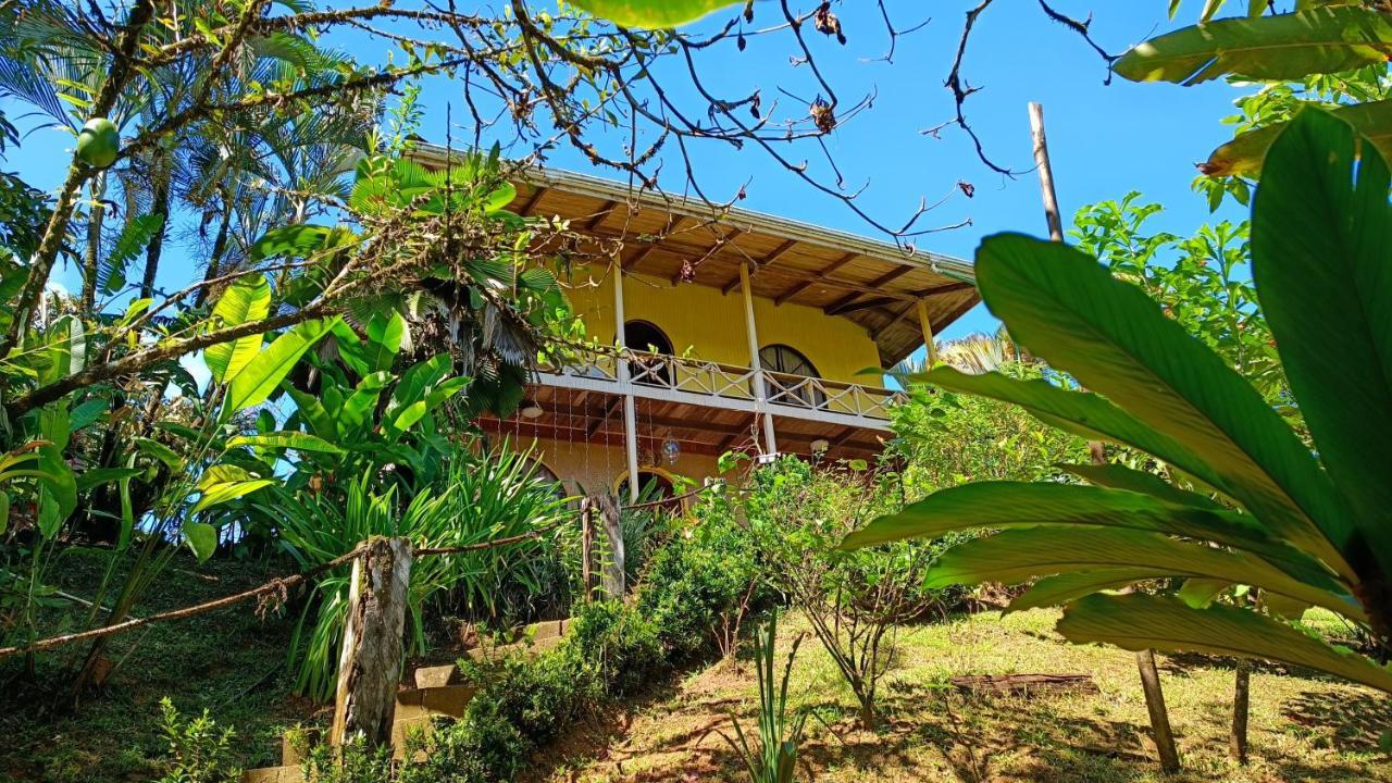 Tico Gringo Apartment Drake Bay