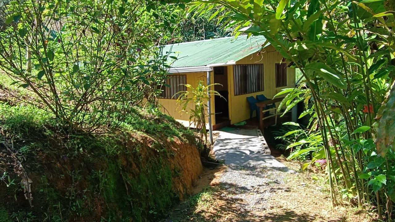 Tico Gringo Apartment Drake Bay