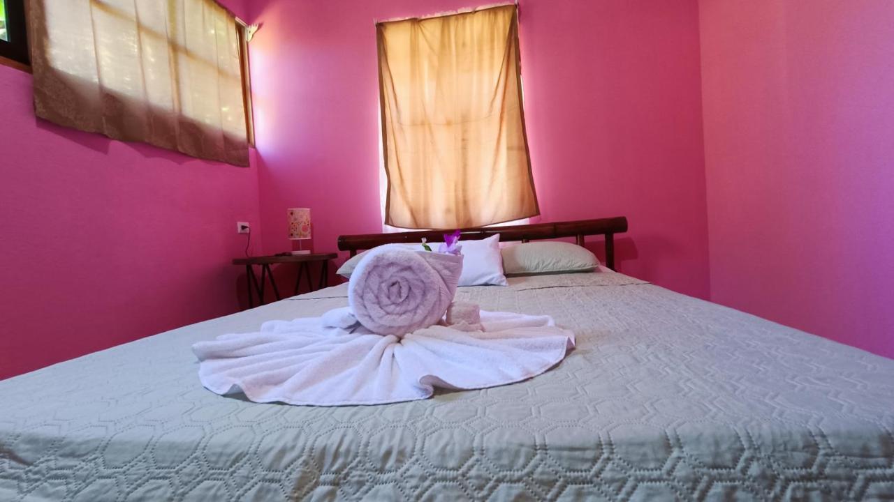 Tico Gringo Apartment