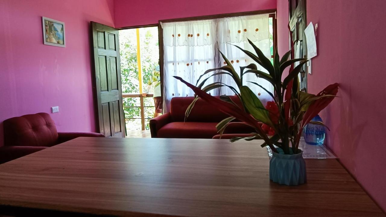 Apartment Tico Gringo