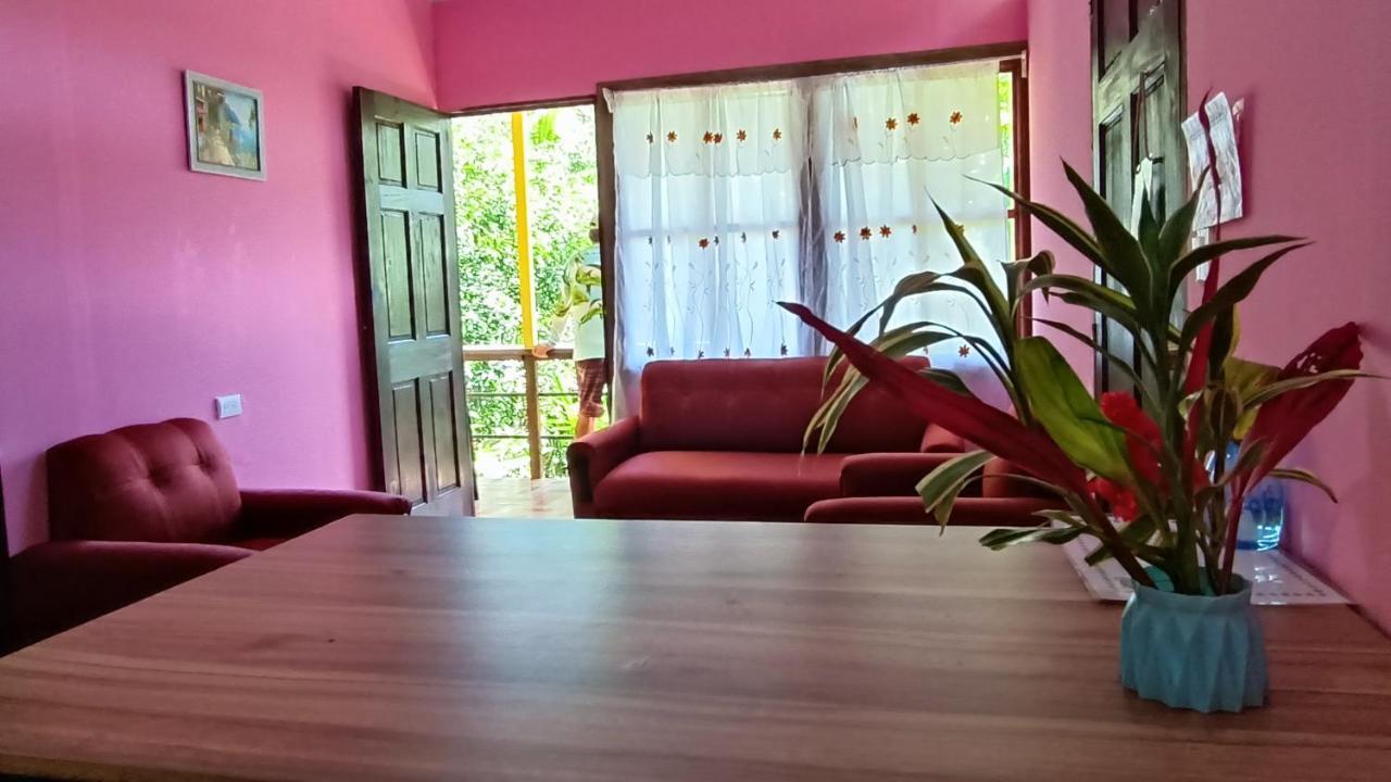 Apartment Tico Gringo