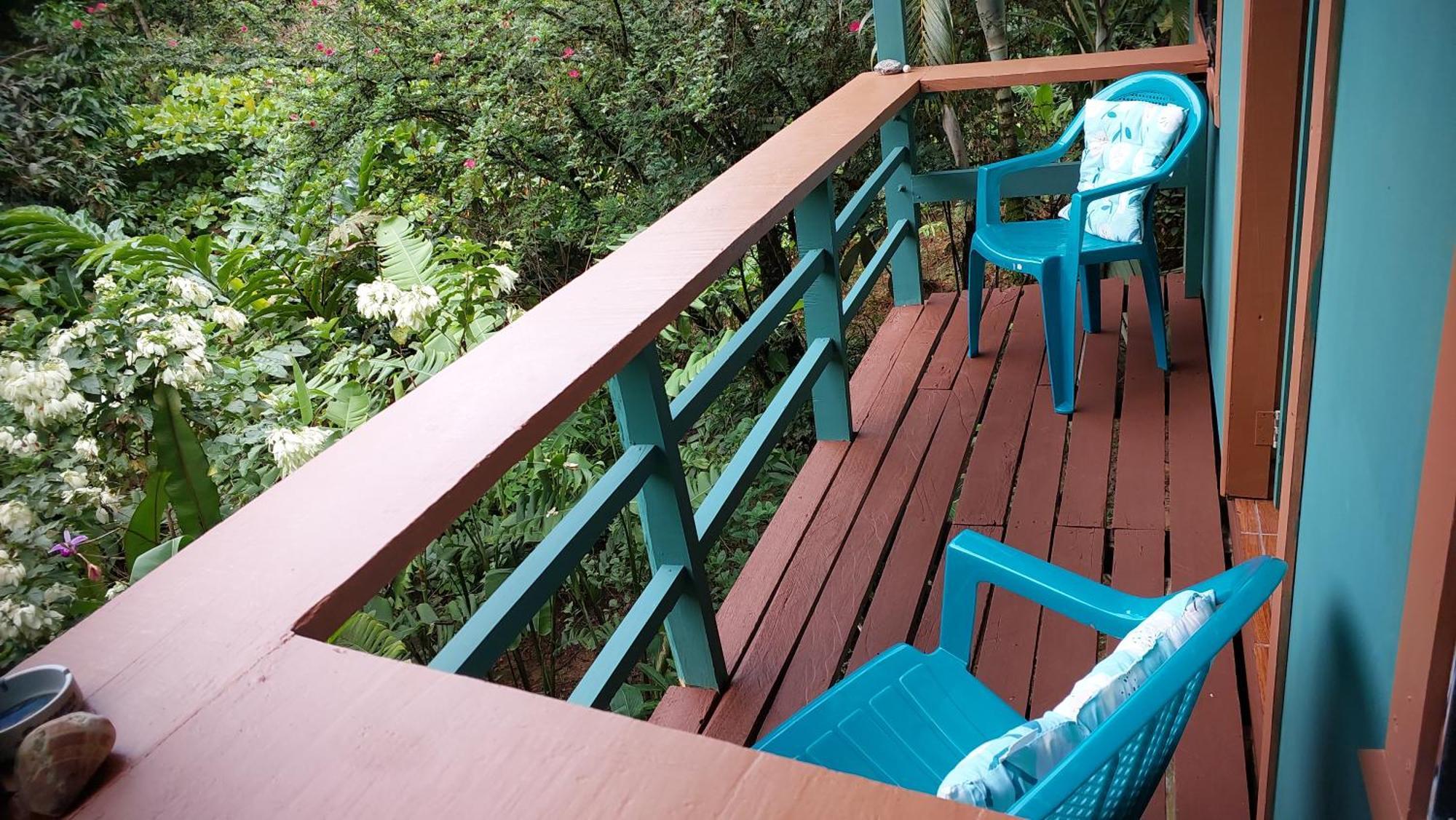 Apartment Tico Gringo Drake Bay