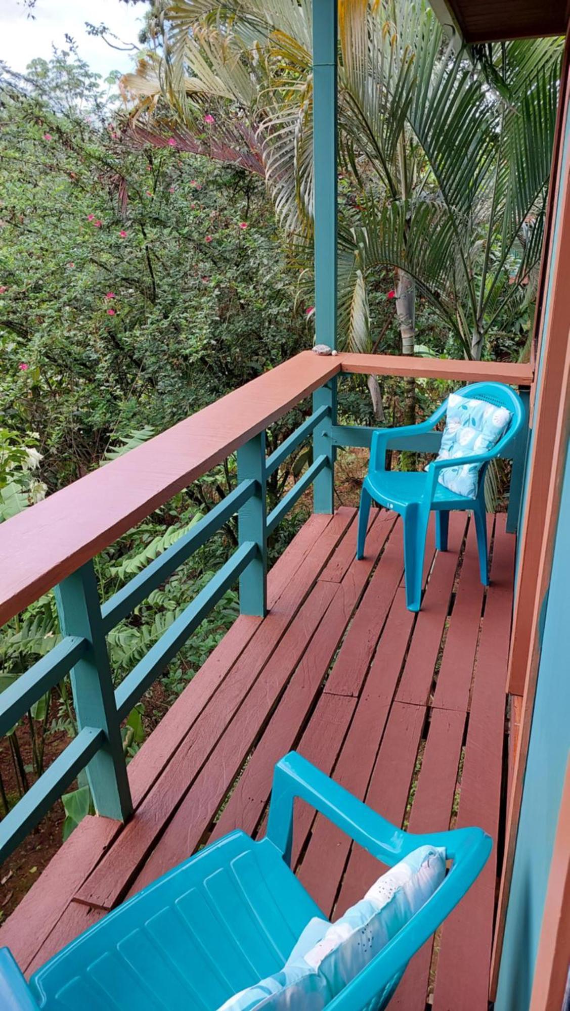 Tico Gringo Apartment